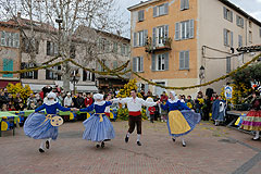 Fête du Mimosa à Biot en 2008