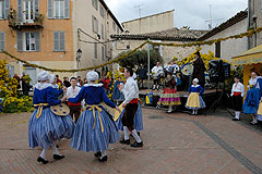 Fête du Mimosa à Biot en 2008