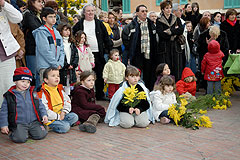 Fête du Mimosa à Biot en 2008