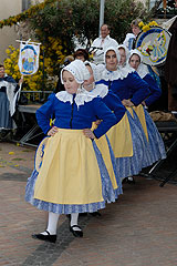 Fête du Mimosa à Biot en 2008
