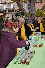 Fête du Mimosa à Biot en 2008