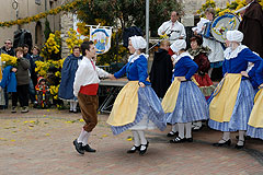 Fête du Mimosa à Biot en 2008