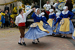 Fête du Mimosa à Biot en 2008