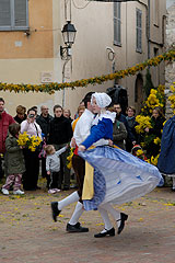 Fête du Mimosa à Biot en 2008