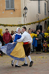 Fête du Mimosa à Biot en 2008
