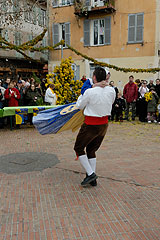 Fête du Mimosa à Biot en 2008