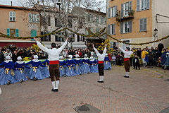 Fête du Mimosa à Biot en 2008
