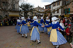 Fête du Mimosa à Biot en 2008