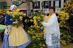 Fête du Mimosa à Biot en 2008