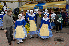 Fête du Mimosa à Biot en 2008