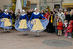 Fête du Mimosa à Biot en 2008