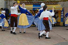Fête du Mimosa à Biot en 2008