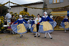 Fête du Mimosa à Biot en 2008