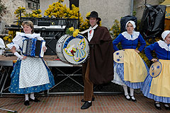 Fête du Mimosa à Biot en 2008
