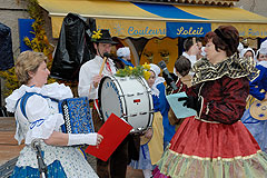 Fête du Mimosa à Biot en 2008