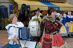 Fête du Mimosa à Biot en 2008