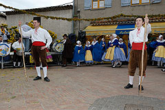 Fête du Mimosa à Biot en 2008