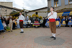 Fête du Mimosa à Biot en 2008