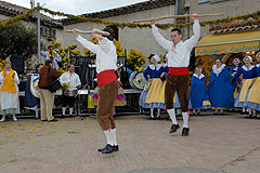 Fête du Mimosa à Biot en 2008