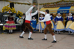 Fête du Mimosa à Biot en 2008