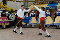 Fête du Mimosa à Biot en 2008