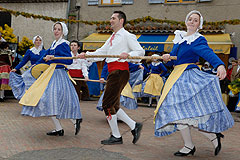 Fête du Mimosa à Biot en 2008