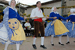 Fête du Mimosa à Biot en 2008