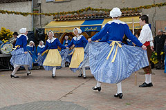 Fête du Mimosa à Biot en 2008