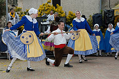 Fête du Mimosa à Biot en 2008