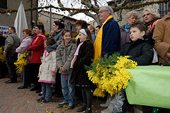 Fête du Mimosa à Biot en 2008