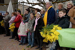 Fête du Mimosa à Biot en 2008