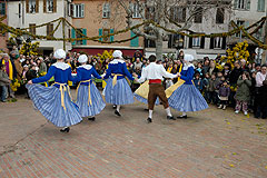 Fête du Mimosa à Biot en 2008