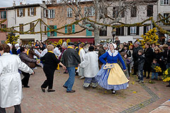 Fête du Mimosa à Biot en 2008