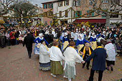 Fête du Mimosa à Biot en 2008