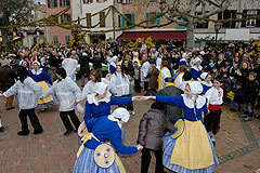 Fête du Mimosa à Biot en 2008