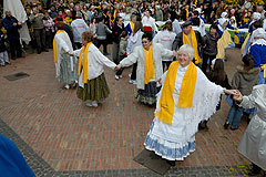 Fête du Mimosa à Biot en 2008
