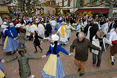 Fête du Mimosa à Biot en 2008