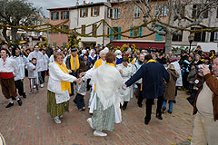 Fête du Mimosa à Biot en 2008