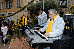 Fête du Mimosa à Biot en 2008