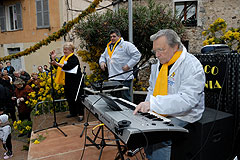 Fête du Mimosa à Biot en 2008