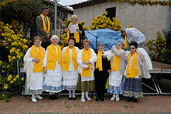 Fête du Mimosa à Biot en 2008