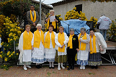 Fête du Mimosa à Biot en 2008