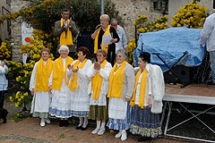 Fête du Mimosa à Biot en 2008