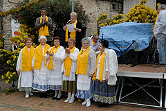Fête du Mimosa à Biot en 2008