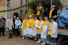 Fête du Mimosa à Biot en 2008