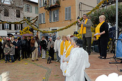Fête du Mimosa à Biot en 2008