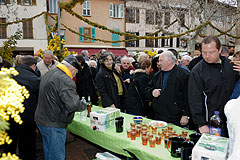 Fête du Mimosa à Biot en 2008