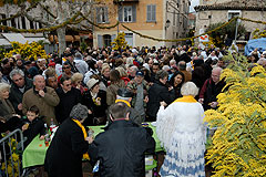 Fête du Mimosa à Biot en 2008