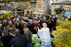 Fête du Mimosa à Biot en 2008
