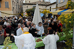 Fête du Mimosa à Biot en 2008